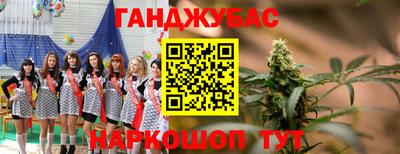 крисы Долгопрудный