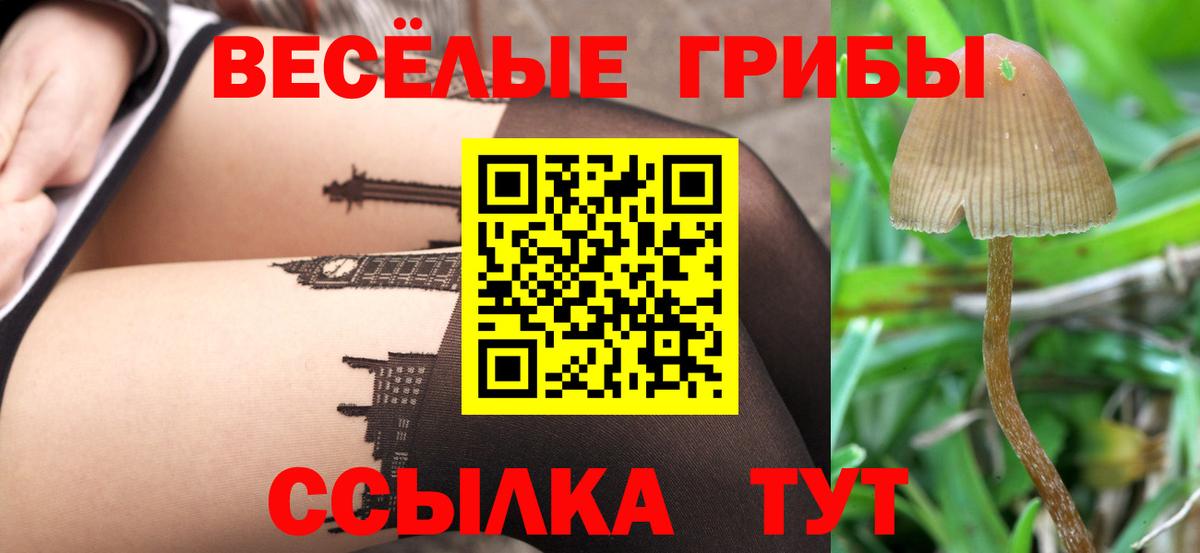 Галлюциногенные грибы MAGIC MUSHROOMS  как найти   Воткинск  Вход с VPN  Галлюциногенные грибы Cubensis 